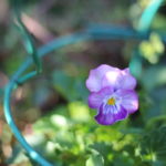 【会員限定】『譲り合う』ってそんなに難しいことなのか。