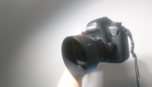 カメラのこと　一眼レフを買って約1年　上達はしてないけど思うことはあるｗｗ