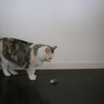 【会員限定】夫との『問題』『課題』を解決する方法