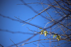 ワーママにとっての仕事とは