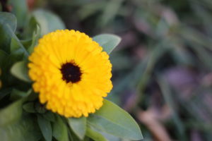 将来離婚する夫婦とそうでない夫婦を見分けられるらしい