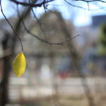 お願いだから想像してください、と言ったら、やっぱしなきゃだめ?とのことでした。