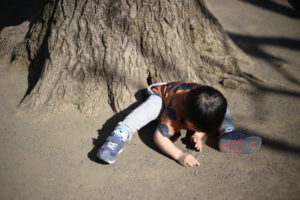 日本の教育ってやっぱりイケていないのか　私ができることを考える