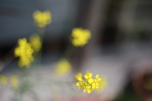 女性は本当に『気が利く』のか　そして最近のオット