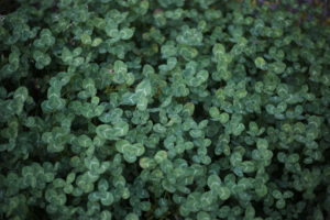 『お金は汚い』と生理的に感じる理由