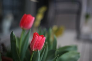 １日の中でいちばん好きな瞬間＠平日