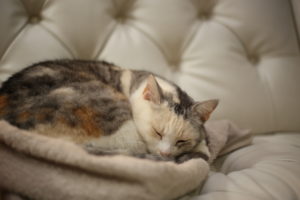 行ってよかった高校の話　頑張ることは意外と難しい