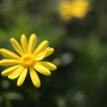 『かわいい』ってなんだろう・・・なら『かわいくない』で、もういいかな。