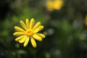 『かわいい』ってなんだろう・・・なら『かわいくない』で、もういいかな。