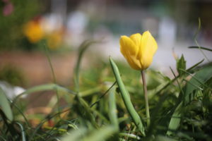 旅行へ行く意味と効果を知って、またどこかへ行きたくなった～