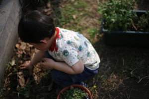 次男に手を焼いています。