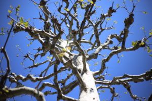 安心してください。お金は一銭も払っていません。