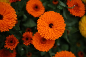 子供を置いて夫婦で旅行