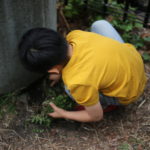 『好きなこと』を見つけるのが難しい時にまずできること