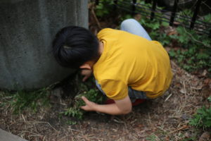 『好きなこと』を見つけるのが難しい時にまずできること