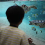 『子育て村』構想　いま私が欲しかった形はこれ