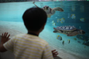 『子育て村』構想 いま私が欲しかった形はこれ