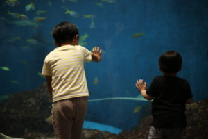 イタズラっ子次男をイタズラっ子にした犯人　からの、親としてこわ～い本