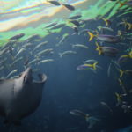 FX歴3年半になり、つくづく感じる『お金』や『投資』のポテンシャルの低さ