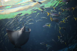 FX歴3年半になり、つくづく感じる『お金』や『投資』のポテンシャルの低さ