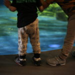 上の子下の子ひとりっこ　順番や兄弟の有無は影響するか。