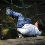 見習うのか、反面教師にするのか、それは彼らの自由