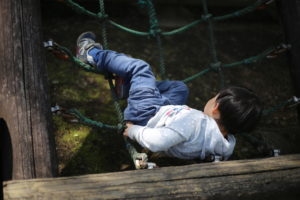 見習うのか、反面教師にするのか、それは彼らの自由
