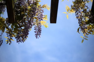 ふるさと納税はお得！　の前に教えて欲しかったこと　いまいちピンと来ていなかったのは私だけ？