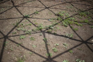 テレビっ子ですが、たまにテレビ無しの日を作ってやること