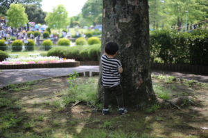 アメリカで見た日本人男子の現実、と希望