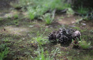 『ガイヤの夜明け』伊藤忠商事のネガティブキャンペーンか？