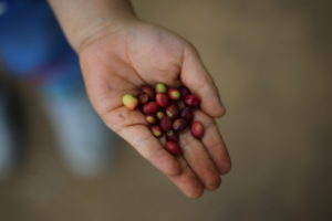 保険会社の『大盤振る舞い』を見た～そして子持ちにお勧めの保険