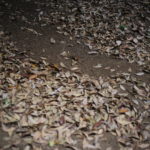 モラハラ疑似体験