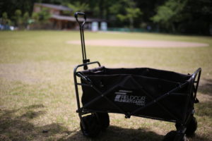 子連れのキャリーワゴンて結局どうなの？必要？なくてもOK？便利？