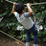 結局は全部『〇トレ理論』説