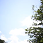 子育て中の早起きは何文の得?なにがいちばん辛いって・・・