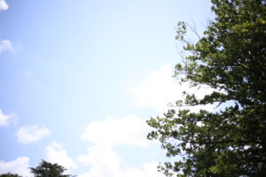 子育て中の早起きは何文の得？なにがいちばん辛いって・・・