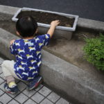 おうちで野菜を食べている子とそうでない子