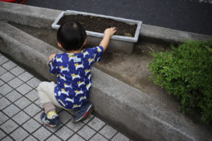 おうちで野菜を食べている子とそうでない子