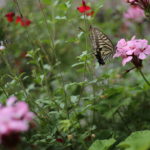 美女ほど〇〇がうまい。美男はそれほどでもない。