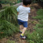 全年代で3割いる貯金ゼロの人 子供のマネー教育を考える
