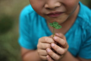 悩みに悩んで・・・夫の資産運用が決まったようです。