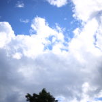 年かな。でもいろいろ考えて、老化現象と、優しさと。