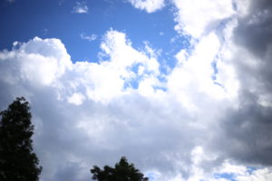 年かな。でもいろいろ考えて、老化現象と、優しさと。