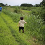 パパと次男の相性が良すぎます。あの占い知ってる？