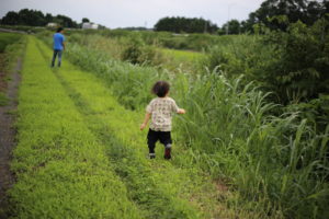 パパと次男の相性が良すぎます。あの占い知ってる？