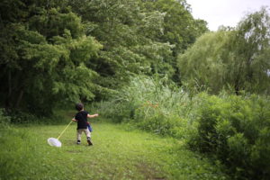 お手頃オーガニックコットン子供服