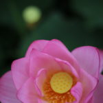 意外や意外、相談されることが多い私