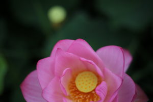 意外や意外、相談されることが多い私