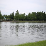 間違えて振り込んじゃった？　両親のこと　後見人を検討中